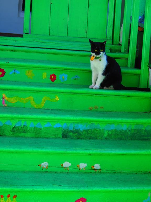 Green Stairs Guest House Tbilissi Extérieur photo