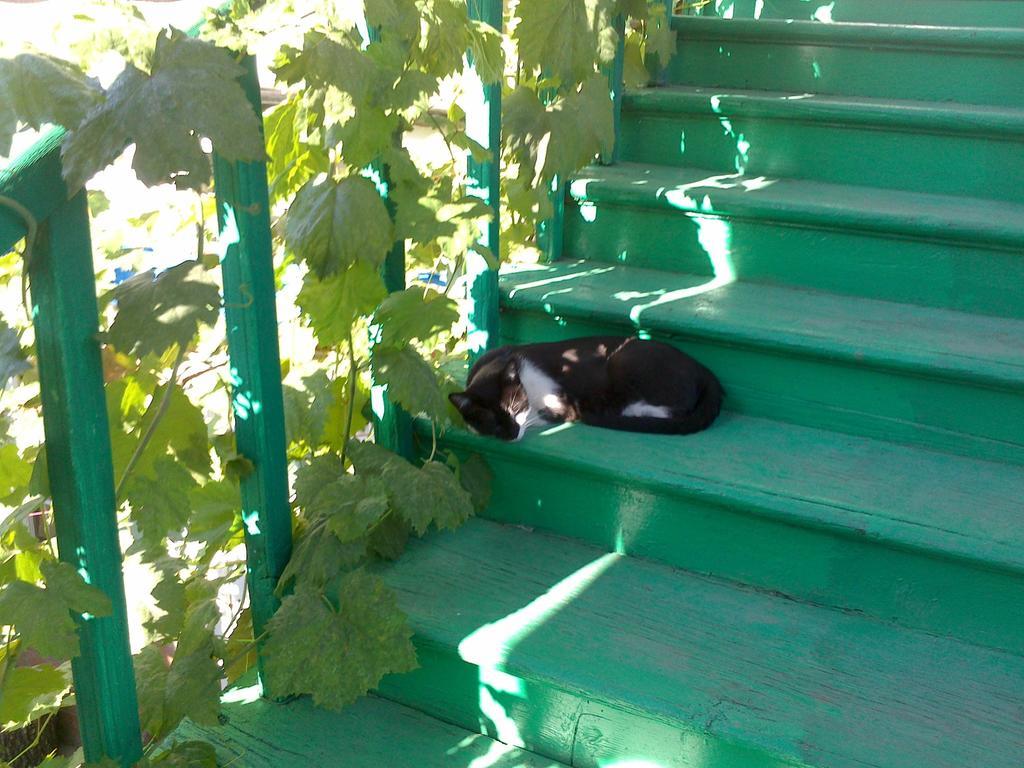 Green Stairs Guest House Tbilissi Extérieur photo