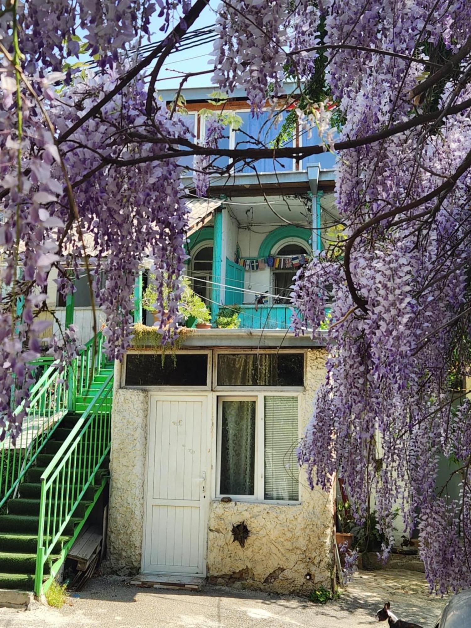Green Stairs Guest House Tbilissi Extérieur photo