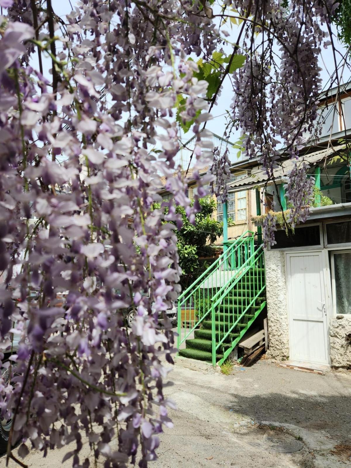 Green Stairs Guest House Tbilissi Extérieur photo
