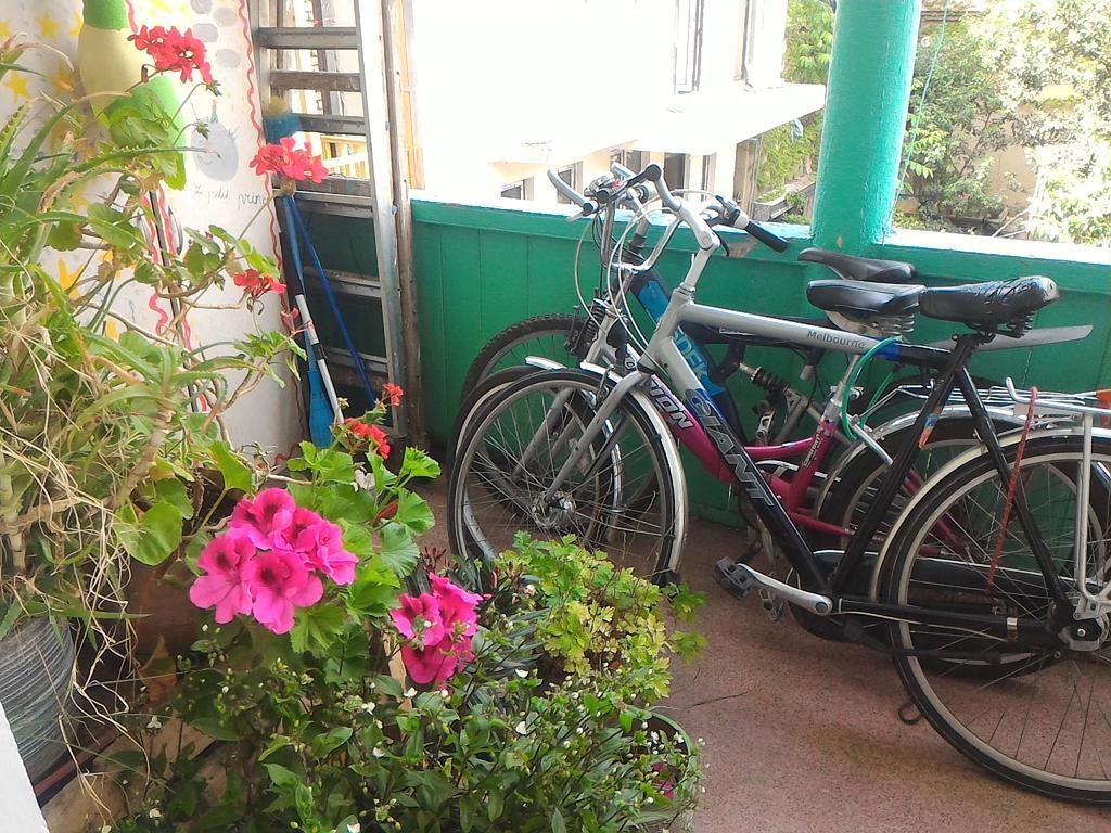 Green Stairs Guest House Tbilissi Extérieur photo